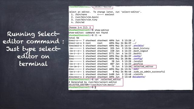 #LinuxCommand Series Selecting default editor in #linux x смотреть онлайн