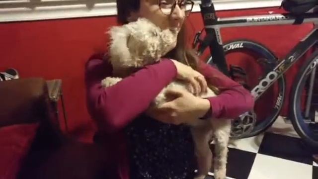 Blind & Deaf Dog's Owner Comes Home from College смотреть онлайн