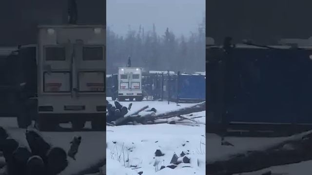 нападение медведя в Якутии на работников Газпром. 10.11.2023. смотреть онлайн