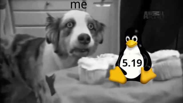 The Debian Pain смотреть онлайн