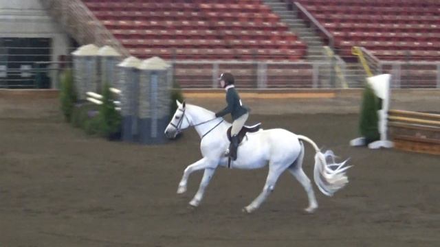 SNH2021 Caresso Performance Htr 3'3