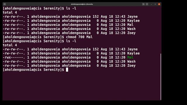 FAQ File Permissions смотреть онлайн
