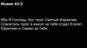 День 198. Библия за год. С митрополитом Иларионом