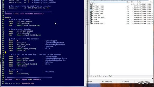 004 Examples console echo Part 2 смотреть онлайн