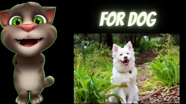 A for apple,b for ball,c for Cat, kids class,#toddlers #kidssong #abcdsongs смотреть онлайн