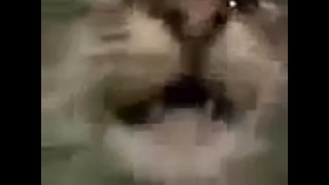 Кит ты маму мав? exe.(error) угар монтаж смотреть онлайн
