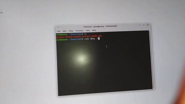 Chrome download in Linux mint смотреть онлайн