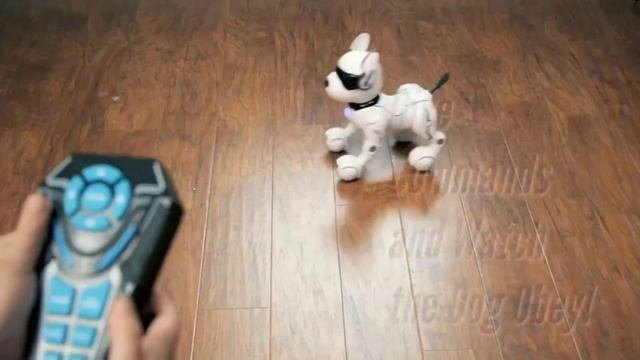 Best Robot Toys For Kids All 2023 | Best Educational Robot Toys For Kids