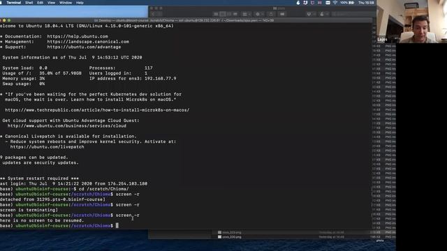 023 Standard output and standard error смотреть онлайн