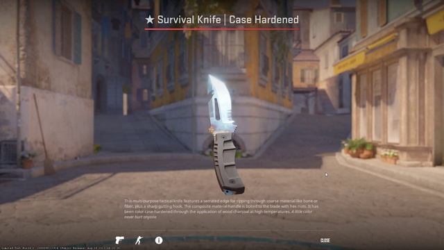 CS2 made Blue Gem Knife Insane 🔥🔥- CS2 SURVIVAL BLUE GEM Knife смотреть онлайн