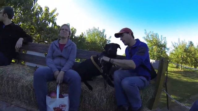 Apple Picking 2014 смотреть онлайн