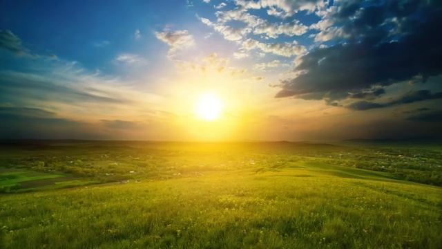 I Have 5 Senses | Sight | Jack Hartmann Sense Of Sight