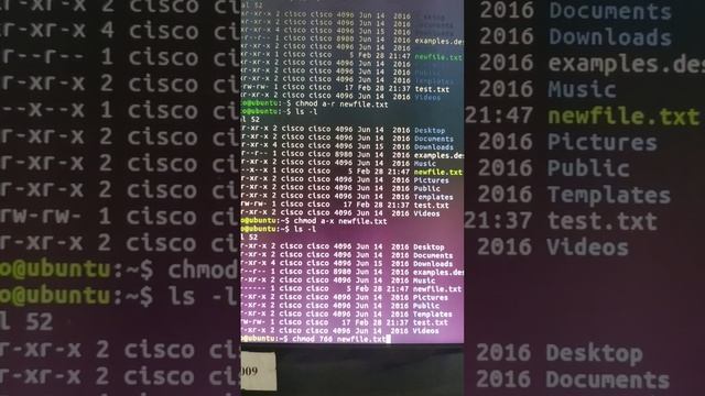 File permissions in Ubuntu смотреть онлайн