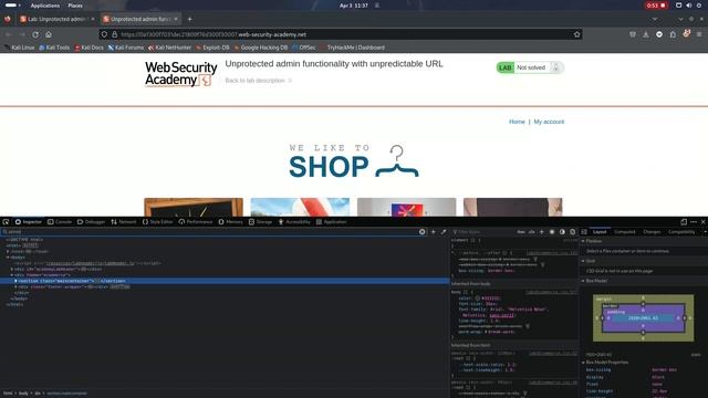 Lab: Unprotected admin functionality with unpredictable URL смотреть онлайн