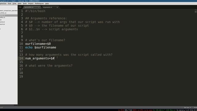 Bash Scripting 5 -- Arguments смотреть онлайн