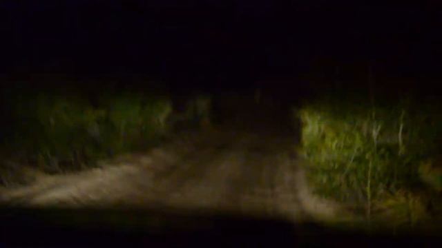 Hummer 4 Wheeling @ Night : Ocala National Forest Florida
