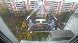 Кормушка на окно с ВБ
