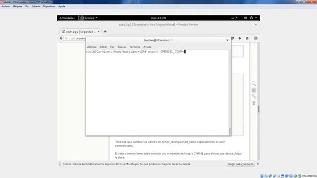 Open SSL Entidad Certificadora y generar certificados en Debian смотреть онлайн
