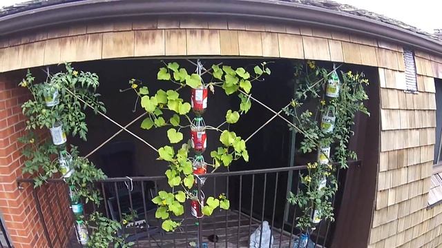3Dponics - Free 3D-Printable Hydroponics System - Recycle Old Bottles смотреть онлайн