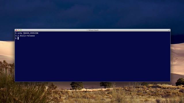 discover the bash version смотреть онлайн