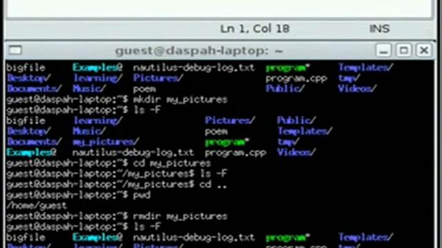 Basic Unix Commands part 2 4 смотреть онлайн