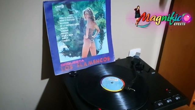 Los Flamencos - Mentiras 🎵🎸🎺🇧🇴♥️ смотреть онлайн