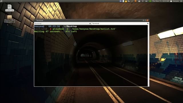 PlowShare - File Hosting Downloader for Terminal - Ubuntu 10.10 смотреть онлайн