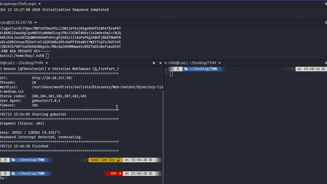 THM - Basic Pentesting смотреть онлайн