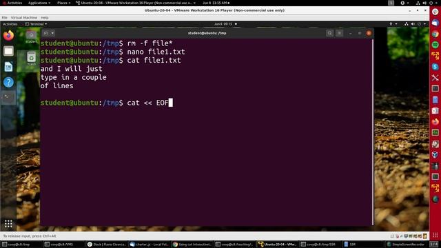 Using cat (concatenate) смотреть онлайн