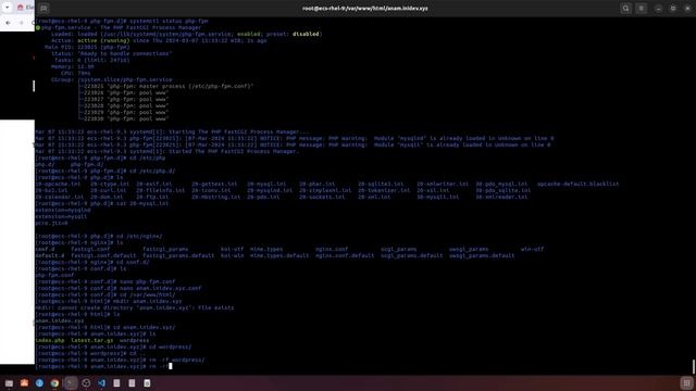 Install NGINX, PHP, PHP-FPM and Wordpress on RHEL 9.3 смотреть онлайн