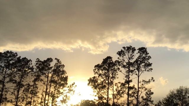 Lounge Background Video To Chill And Focus | Beaming Sun & Orange Wave | Lucky Cat Sunsets Ep.24