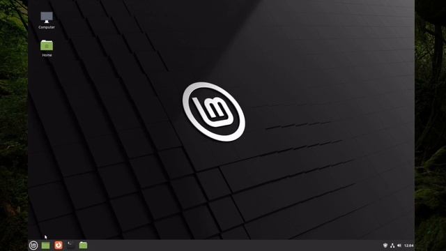 You Can't on Windows, But Can on Linux Mint! смотреть онлайн