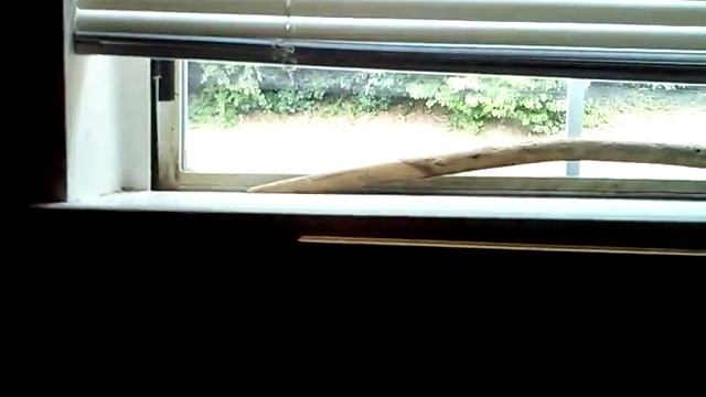 #RATCHET #HOODRATS & #THUGWANNABES #PEEPING #WHILELOITERING @MYWINDOW #HARASSMENT 71216@211pm смотреть онлайн