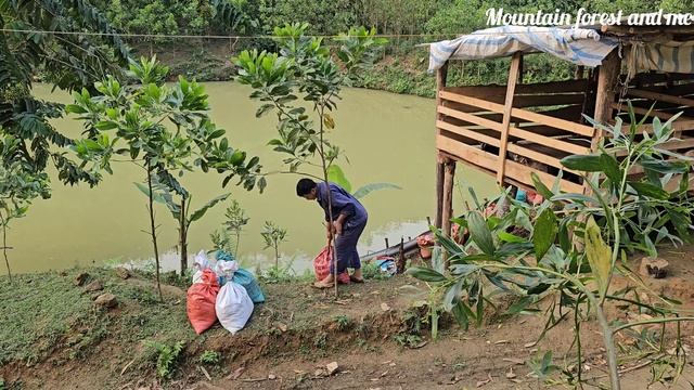 I make money selling goat manure. It's hard work but it helps me earn more income (EP170) смотреть онлайн