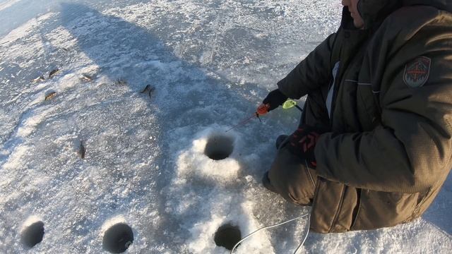 За окунем на ласковы пляж! #рыба #финскийзалив #зимняяловлярыбы #окунь #крупныйокунь