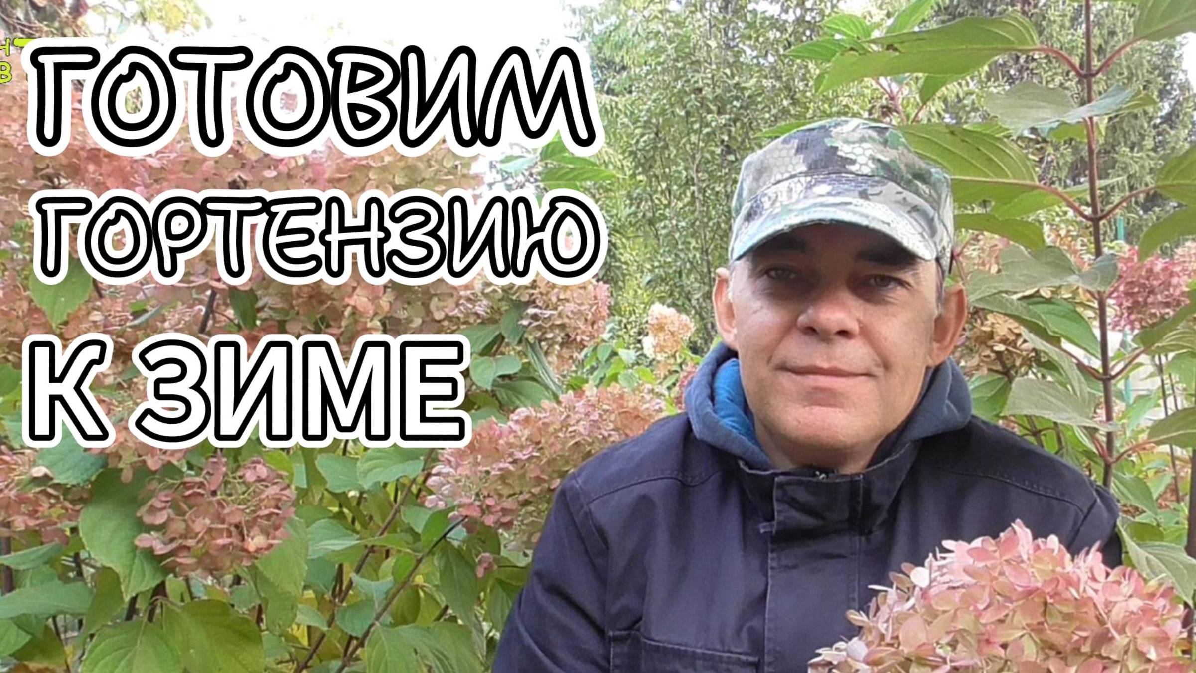 🥶 Как ПРАВИЛЬНО Подготовить Гортензию к Зиме: ПОШАГОВАЯ Инструкция! 🥶 ОБРЕЗКА, ПОДВЯЗКА, ОБРАБОТКА смотреть онлайн