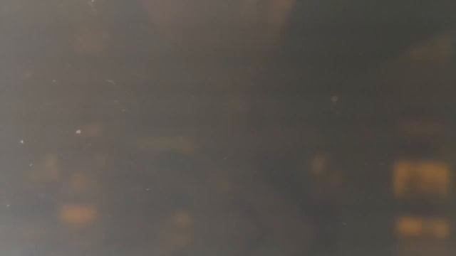 squirtle 01 01 1970 00 01 05 370414 смотреть онлайн