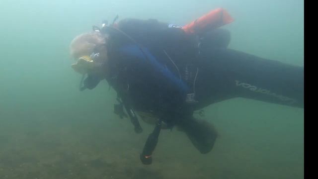 AMAZING DIVE! We Found 2 APPLE WATCHES and a LOT MORE! – Dale Hollow Lake - Episode 320 смотреть онлайн