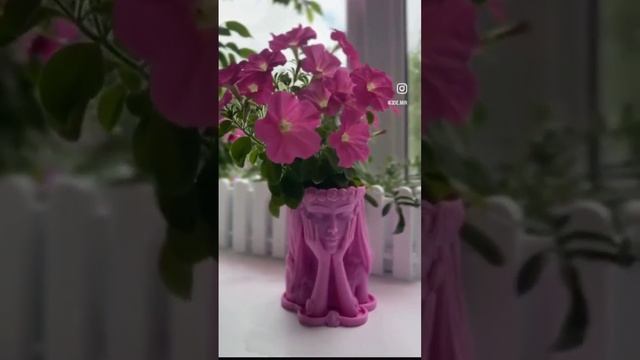 Summer cachepot смотреть онлайн