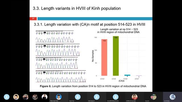 JCS 28: Mitochondrial DNA HVIII in Kinh population смотреть онлайн