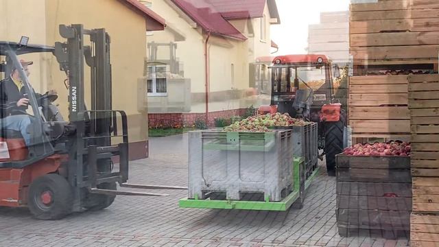 Apple Harvesting in Poland 10/2022 смотреть онлайн
