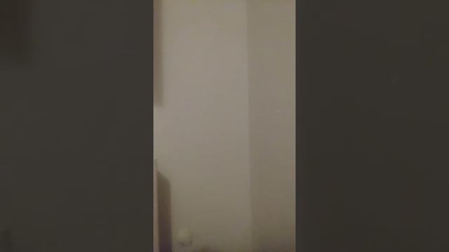 DOWNLOAD POPCORN TIME.APK смотреть онлайн