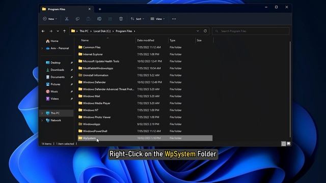 What is WpSystem folder? Is it safe to delete it? смотреть онлайн