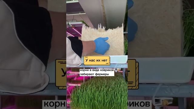 Куда деваются отходы производства?