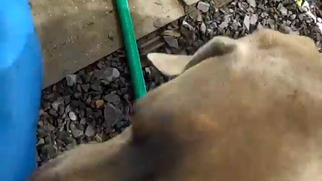 Bentley T смотреть онлайн