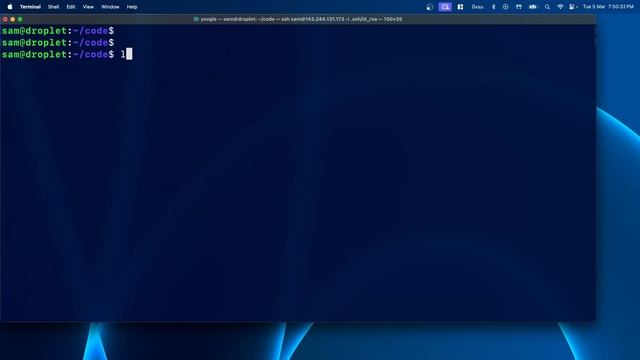 Python Virtual Environment in Linux смотреть онлайн
