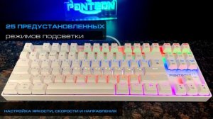 ИГРОВАЯ МЕХАНИКА НА ЧЕРНЫХ СВИТЧАХ PANTEON T4 BS