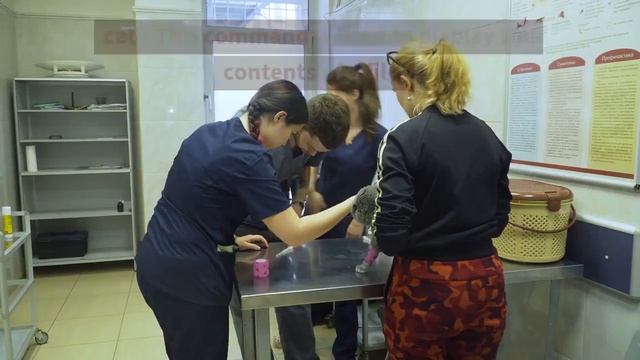 Basic Linux commands Linux Basic Commands: Easy learn смотреть онлайн