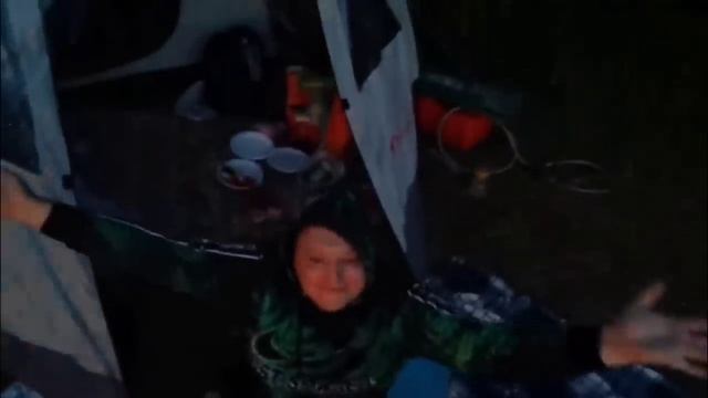 Сектор газа