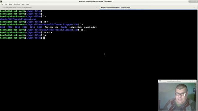 Linux. ბრძანებითი სტრიქონი. ბრძანება: wget. смотреть онлайн